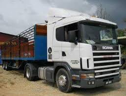 Transporte y Logística